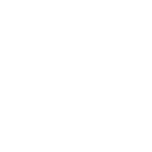 Seguridad Electrónica